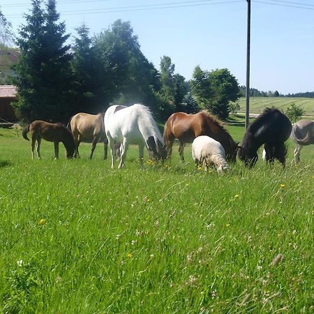 Landgasthof Zum Schwanen Hornberg Kültér fotó
