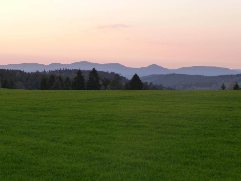 Landgasthof Zum Schwanen Hornberg Kültér fotó
