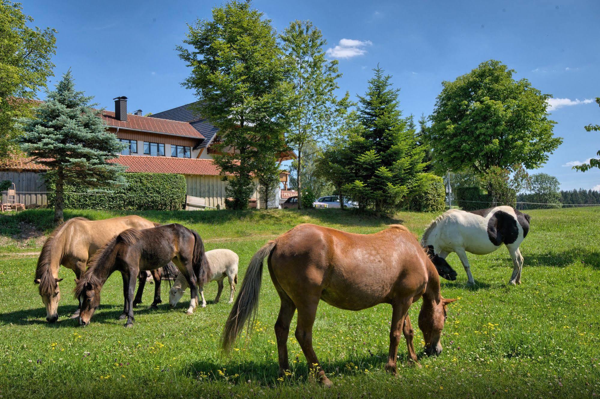Landgasthof Zum Schwanen Hornberg Kültér fotó